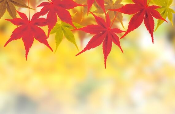 【RD済】ハウスドゥ！の 『ハウス・リースバック』が選ばれる理由｜大田区で不動産のご相談ならハウスドゥ！大森海岸店